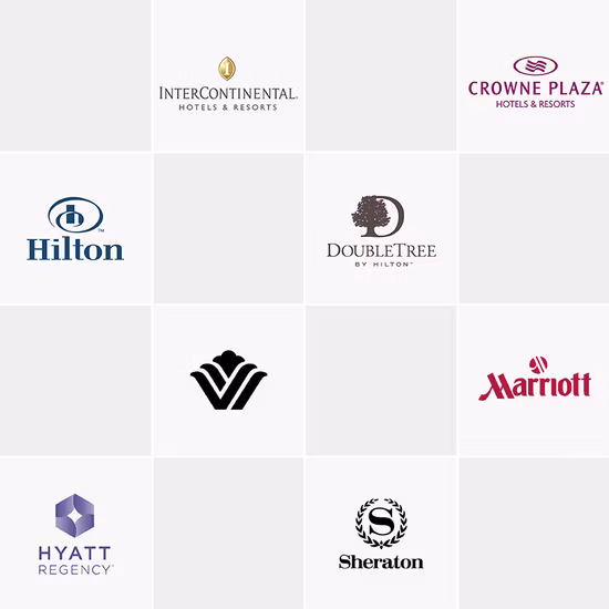 Factory Commercial Smoothie Machine Two Tank Slush Ice Machine 12L for Snack Bar